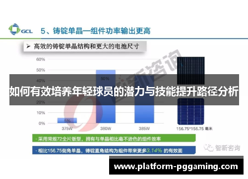 如何有效培养年轻球员的潜力与技能提升路径分析