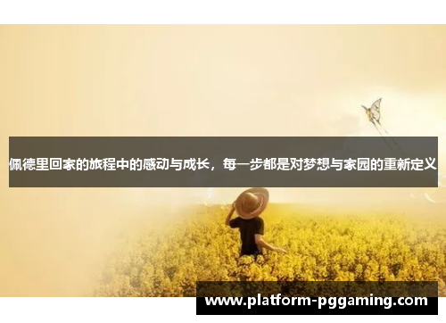佩德里回家的旅程中的感动与成长，每一步都是对梦想与家园的重新定义