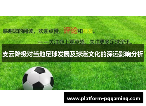 支云降级对当地足球发展及球迷文化的深远影响分析