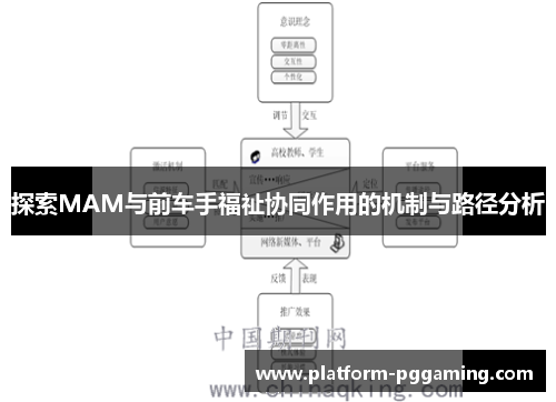探索MAM与前车手福祉协同作用的机制与路径分析