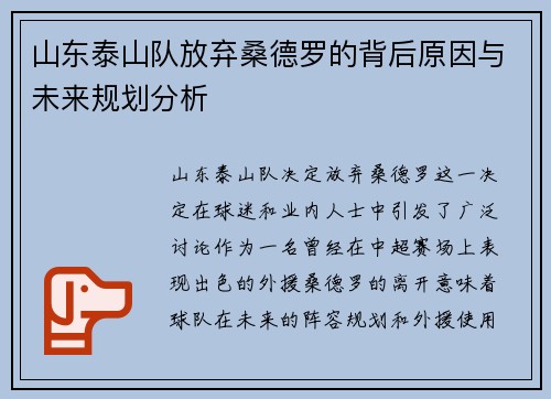 山东泰山队放弃桑德罗的背后原因与未来规划分析