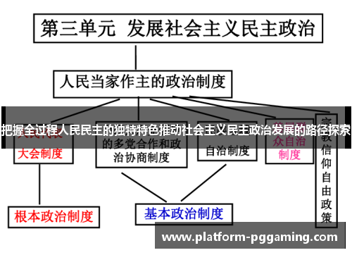 把握全过程人民民主的独特特色推动社会主义民主政治发展的路径探索