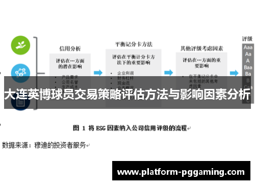 大连英博球员交易策略评估方法与影响因素分析