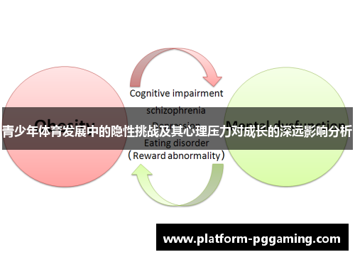 青少年体育发展中的隐性挑战及其心理压力对成长的深远影响分析