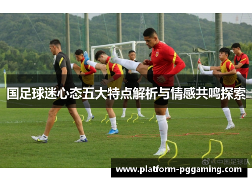 国足球迷心态五大特点解析与情感共鸣探索