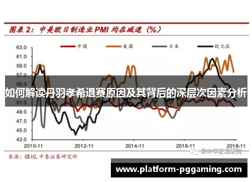 如何解读丹羽孝希退赛原因及其背后的深层次因素分析