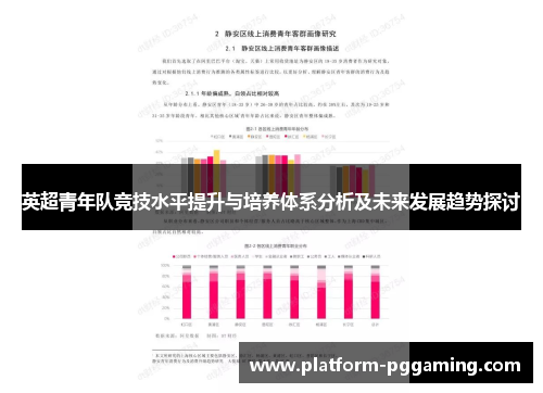 英超青年队竞技水平提升与培养体系分析及未来发展趋势探讨