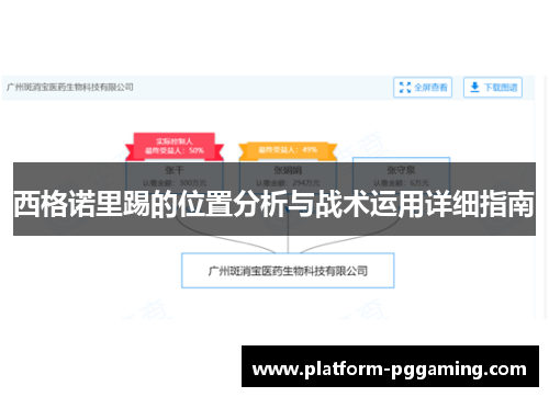 西格诺里踢的位置分析与战术运用详细指南