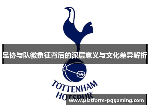足协与队徽象征背后的深层意义与文化差异解析