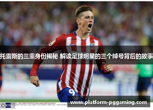 托雷斯的三重身份揭秘 解读足球明星的三个绰号背后的故事